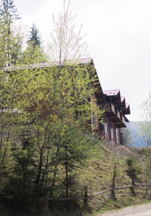 Karpatska Oselia Villa Verkhovyna Exterior photo